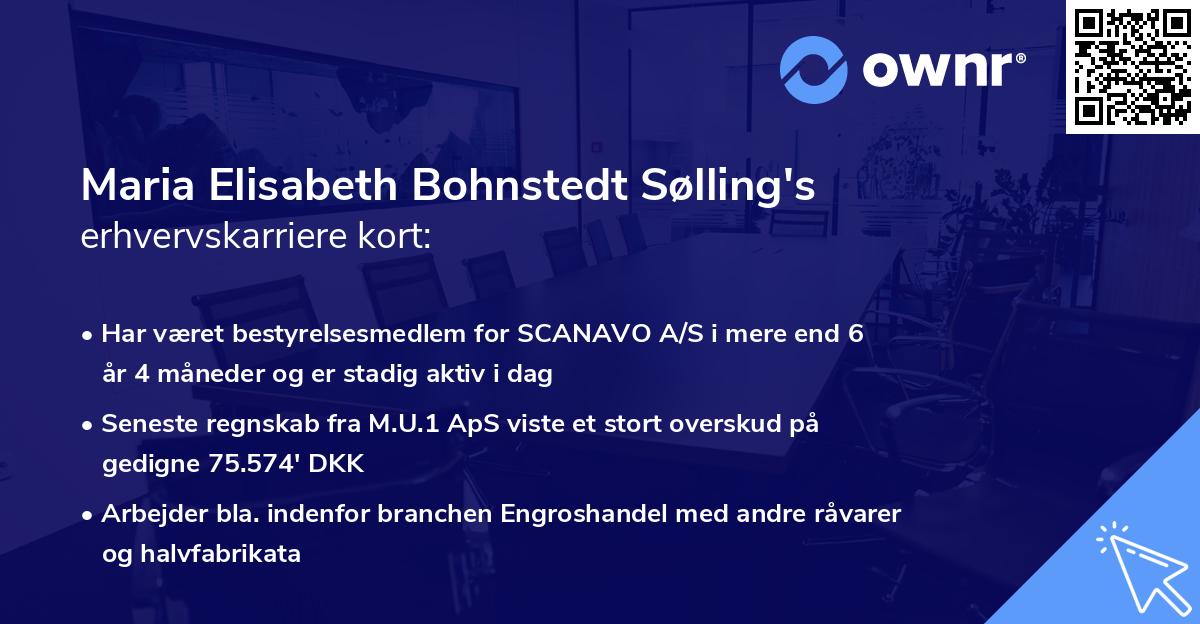 Maria Elisabeth Bohnstedt Sølling's erhvervskarriere kort