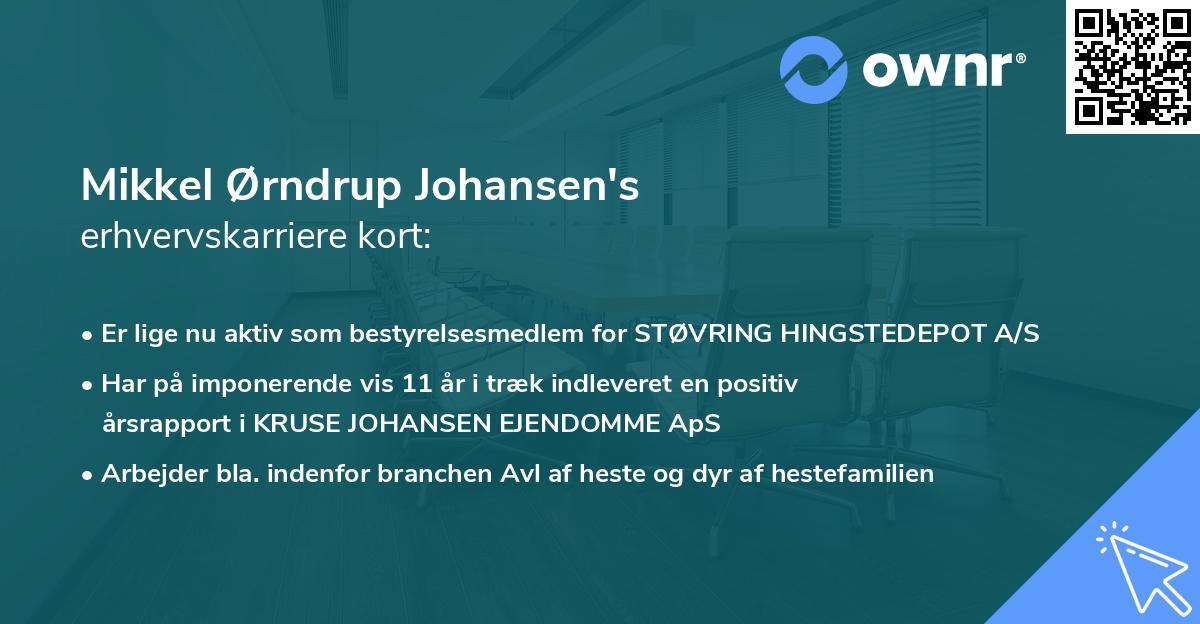 Mikkel Ørndrup Johansen's erhvervskarriere kort