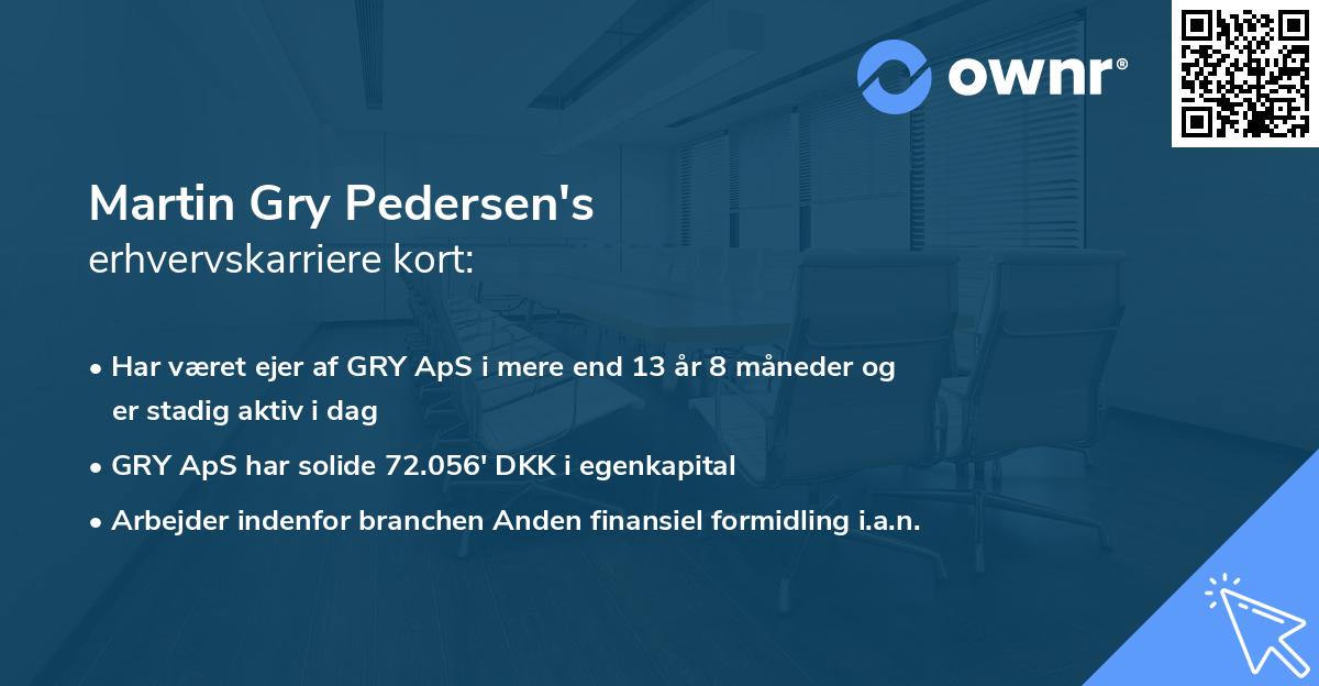 Martin Gry Pedersen's erhvervskarriere kort