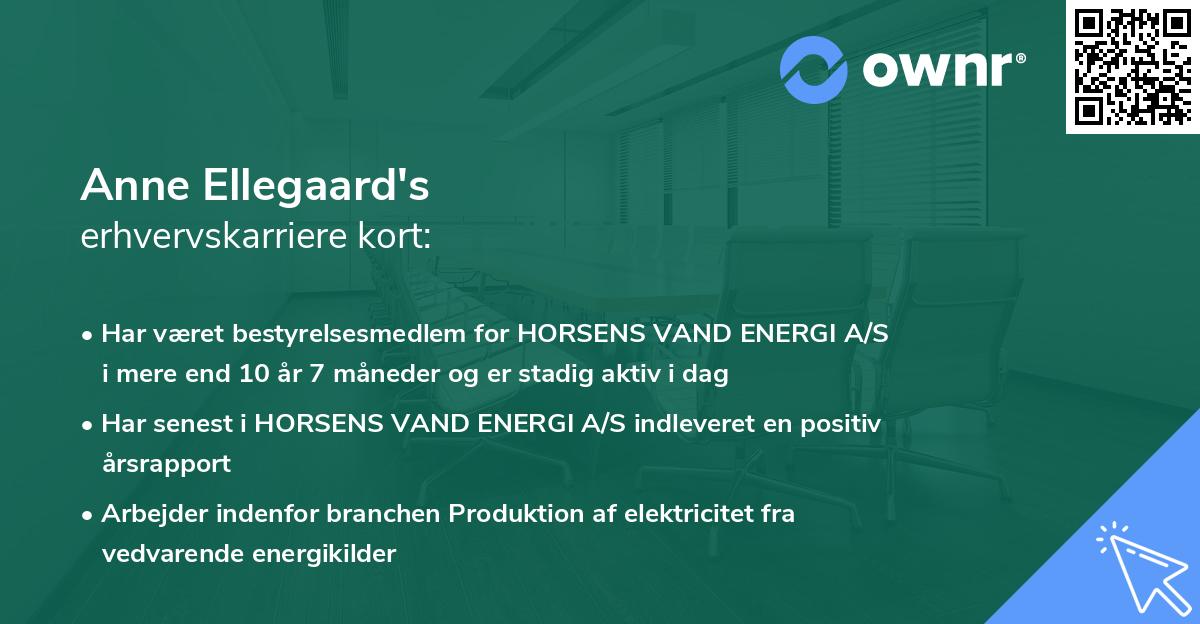 Anne Ellegaard's erhvervskarriere kort