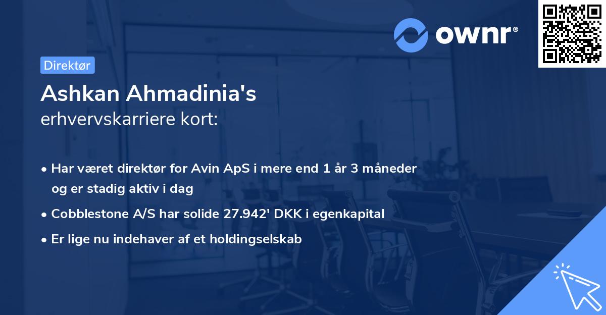 Ashkan Ahmadinia's erhvervskarriere kort