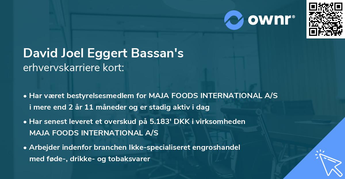 David Joel Eggert Bassan's erhvervskarriere kort