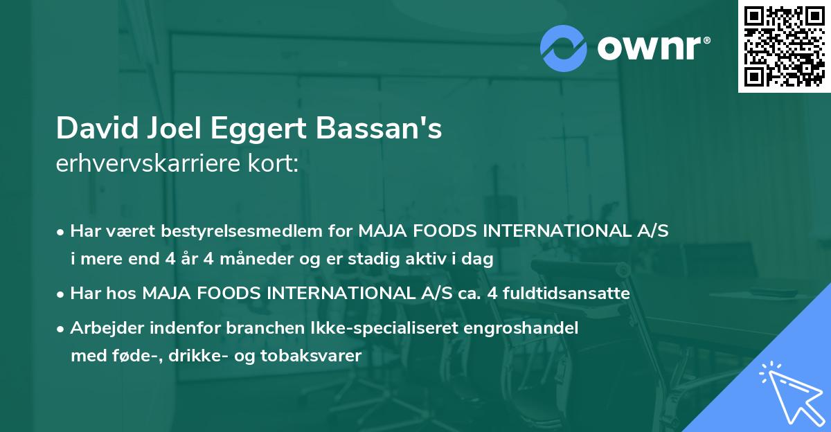 David Joel Eggert Bassan's erhvervskarriere kort