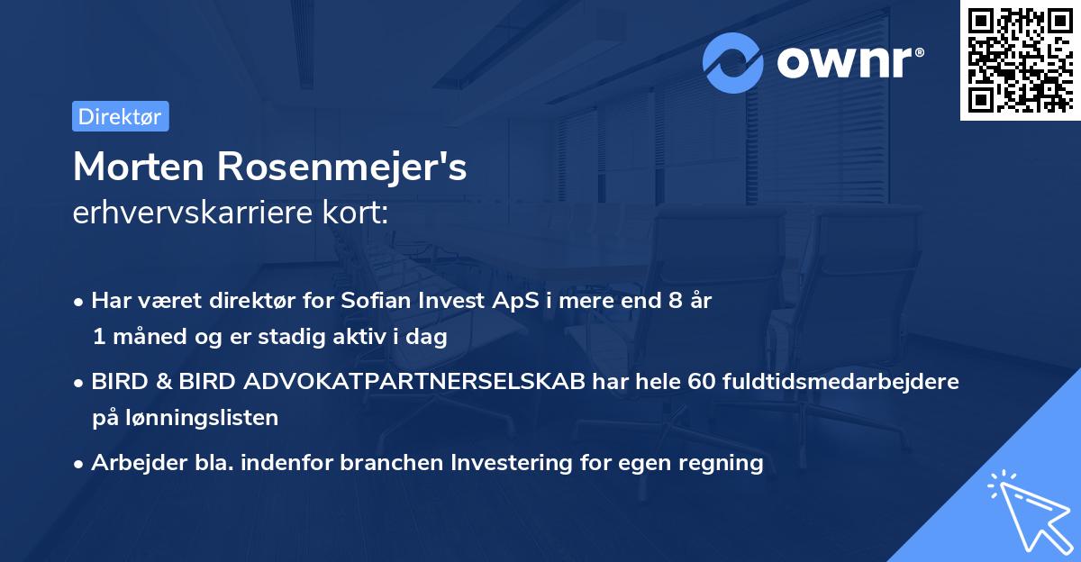 Morten Rosenmejer's erhvervskarriere kort
