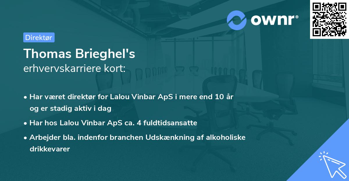 Thomas Brieghel's erhvervskarriere kort