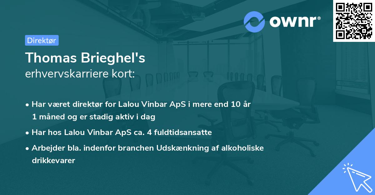 Thomas Brieghel's erhvervskarriere kort
