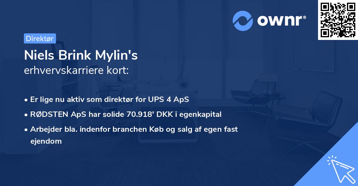 Niels Brink Mylin's erhvervskarriere kort