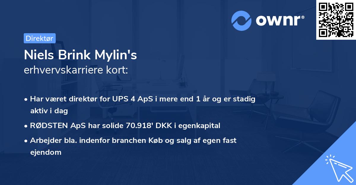 Niels Brink Mylin's erhvervskarriere kort