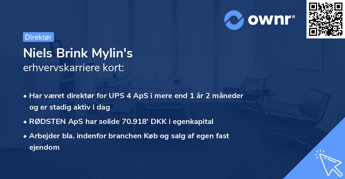Niels Brink Mylin's erhvervskarriere kort
