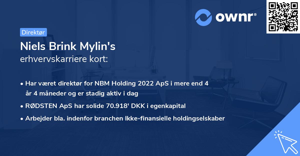 Niels Brink Mylin's erhvervskarriere kort