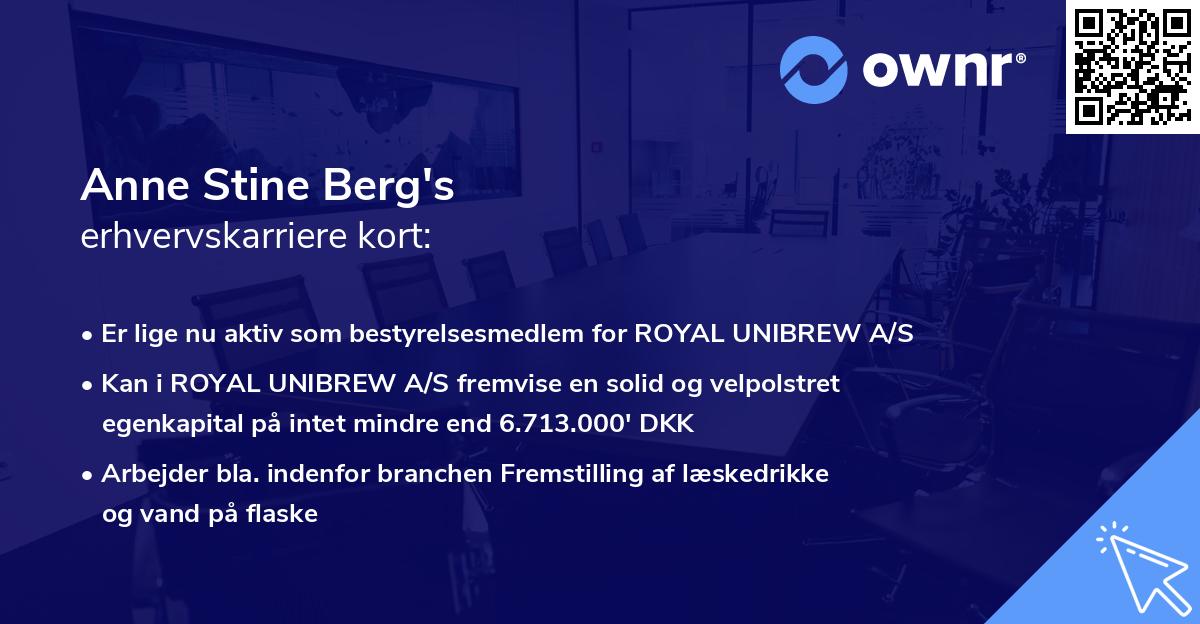 Anne Stine Berg's erhvervskarriere kort