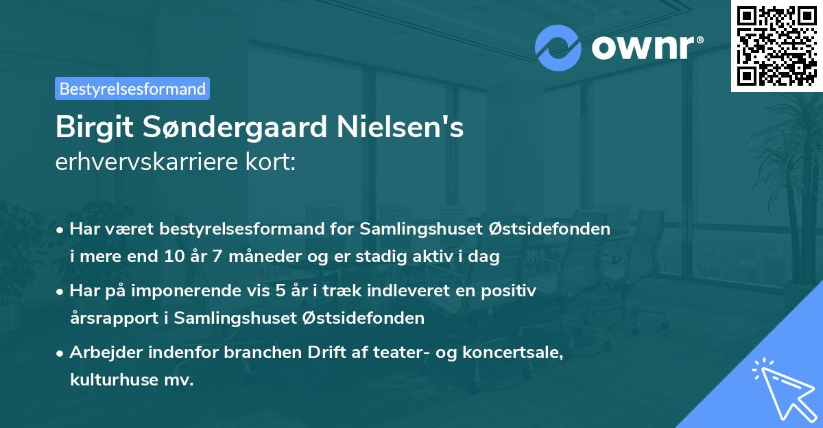 Birgit Søndergaard Nielsen's erhvervskarriere kort