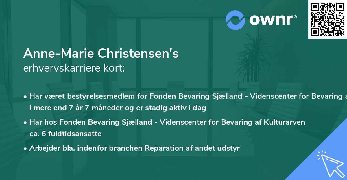 Anne-Marie Christensen's erhvervskarriere kort