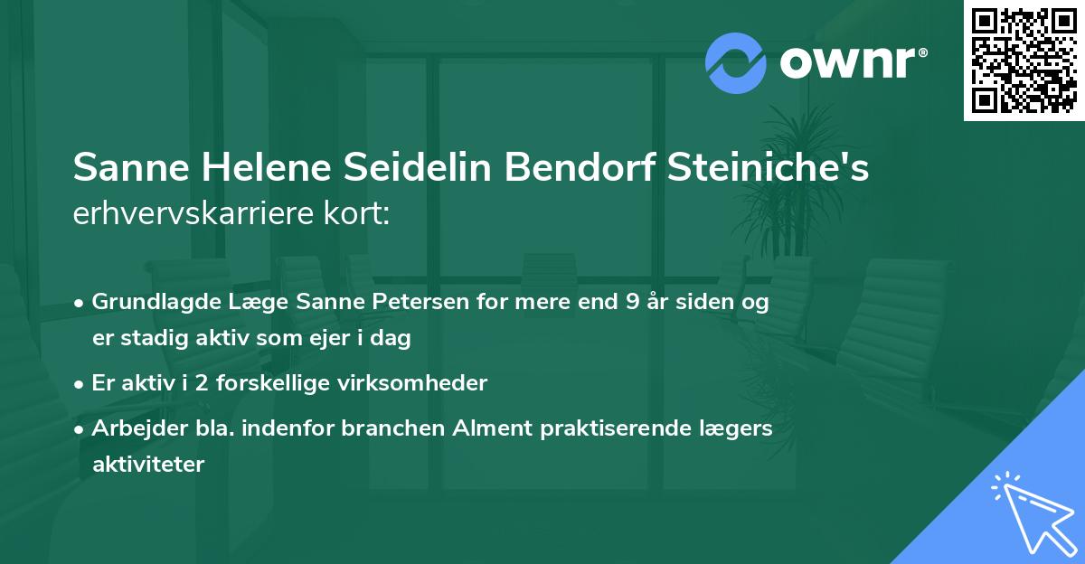 Sanne Helene Seidelin Bendorf Steiniche's erhvervskarriere kort