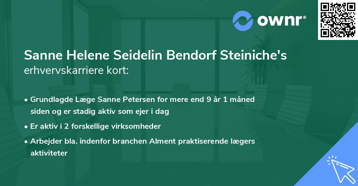 Sanne Helene Seidelin Bendorf Steiniche's erhvervskarriere kort