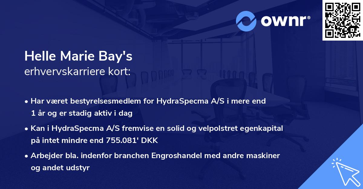 Helle Marie Bay's erhvervskarriere kort