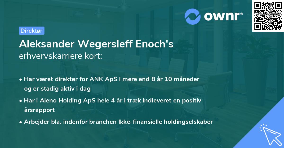 Aleksander Wegersleff Enoch's erhvervskarriere kort