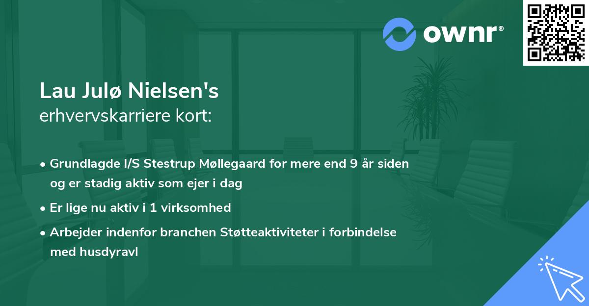 Lau Julø Nielsen's erhvervskarriere kort