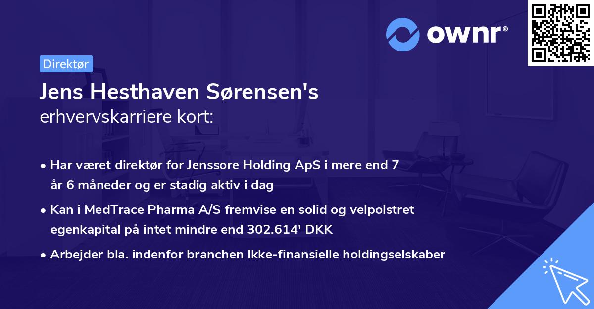 Jens Hesthaven Sørensen's erhvervskarriere kort