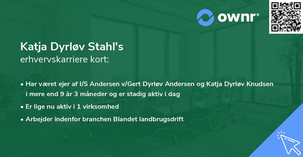 Katja Dyrløv Stahl's erhvervskarriere kort