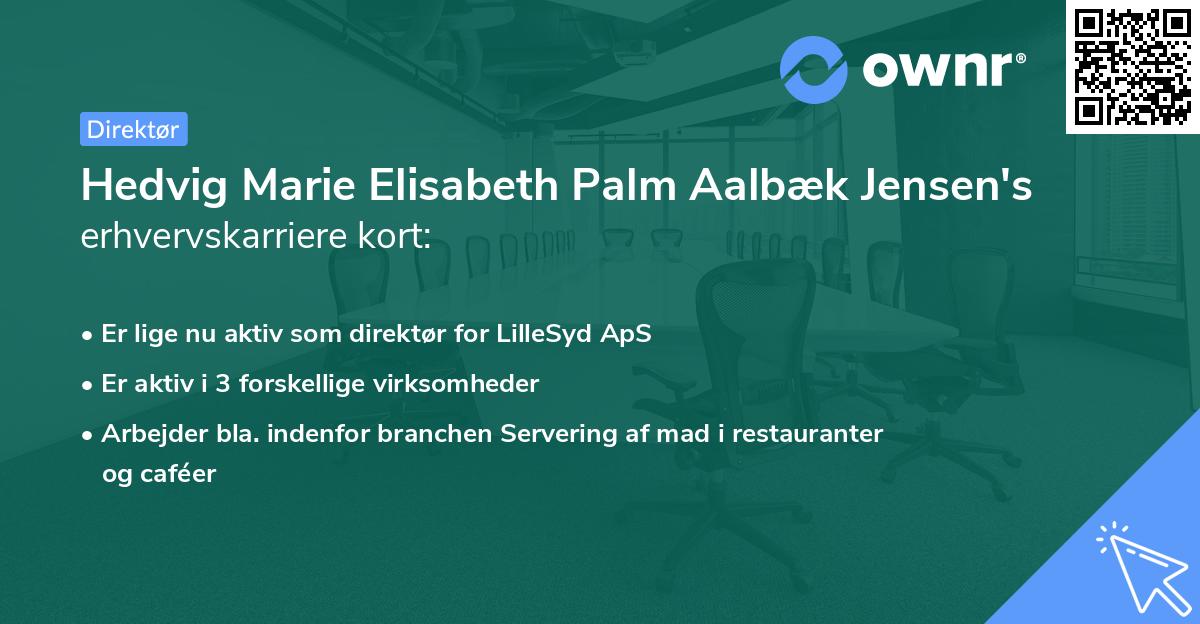 Hedvig Marie Elisabeth Palm Aalbæk Jensen's erhvervskarriere kort
