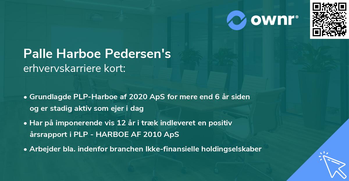 Palle Harboe Pedersen's erhvervskarriere kort