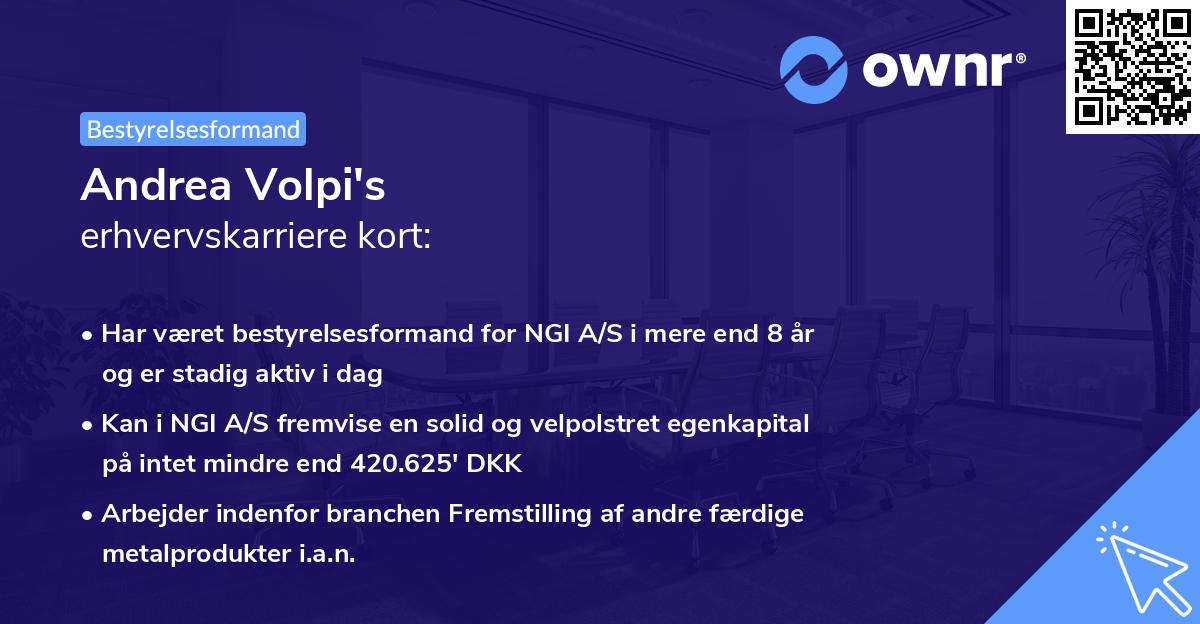 Andrea Volpi's erhvervskarriere kort