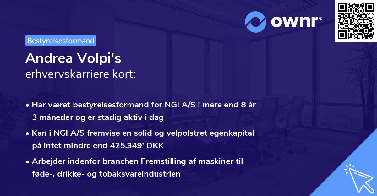 Andrea Volpi's erhvervskarriere kort