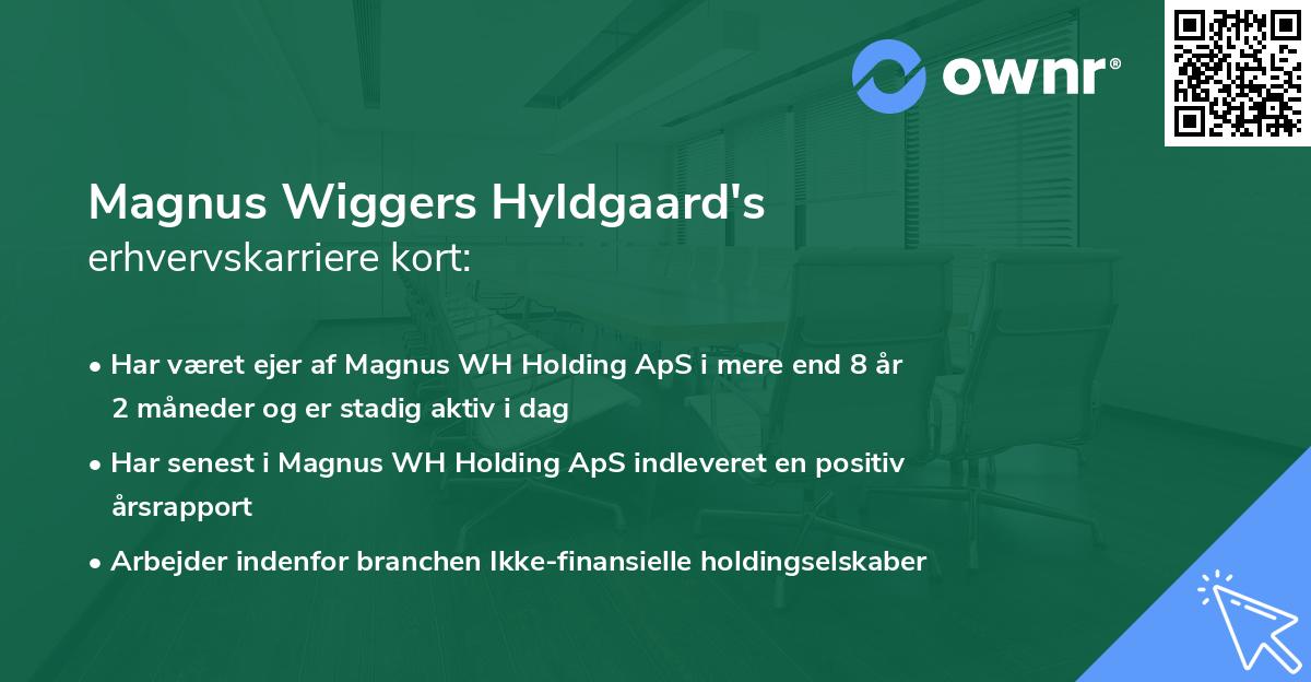Magnus Wiggers Hyldgaard's erhvervskarriere kort