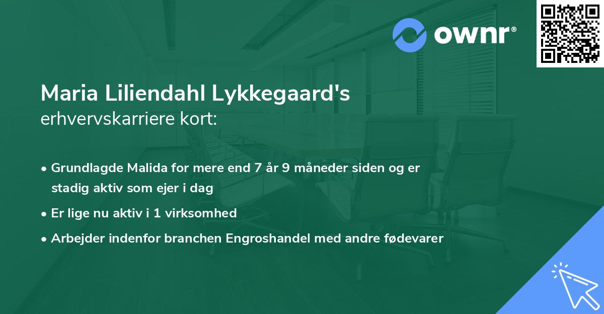 Maria Liliendahl Lykkegaard's erhvervskarriere kort