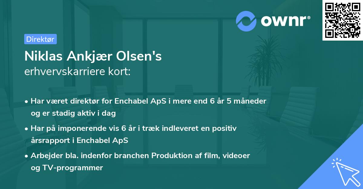 Niklas Ankjær Olsen's erhvervskarriere kort
