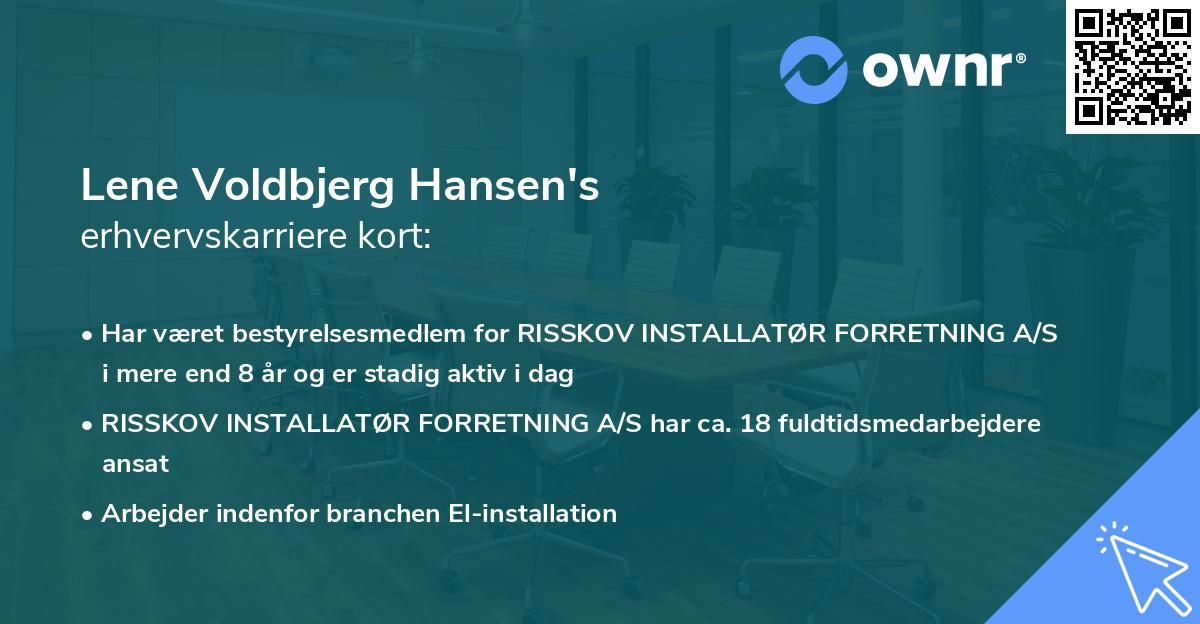 Lene Voldbjerg Hansen's erhvervskarriere kort