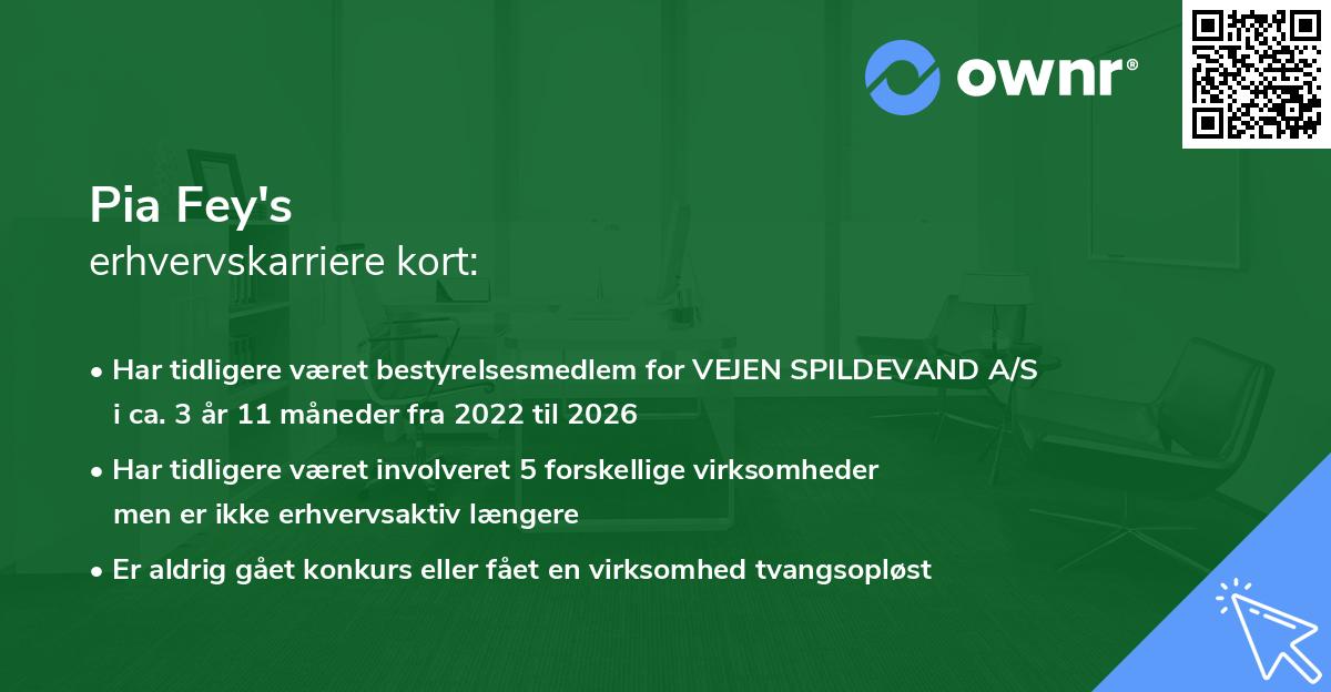 Pia Fey's erhvervskarriere kort
