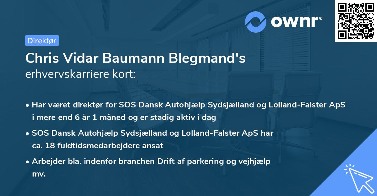 Chris Vidar Baumann Blegmand's erhvervskarriere kort