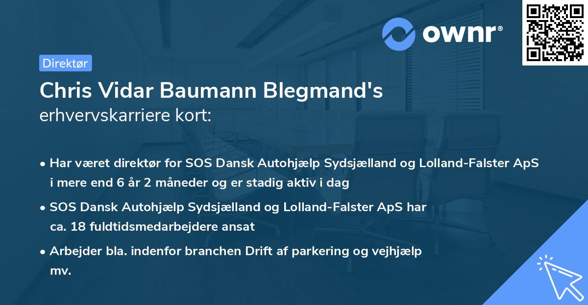 Chris Vidar Baumann Blegmand's erhvervskarriere kort