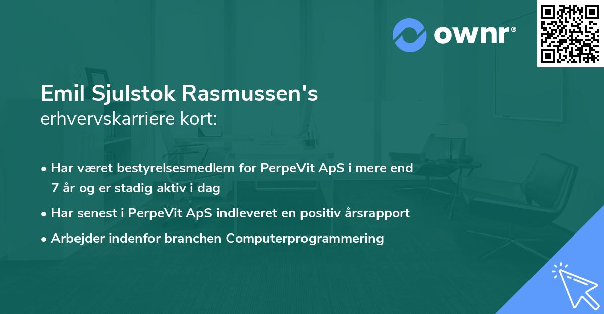 Emil Sjulstok Rasmussen's erhvervskarriere kort