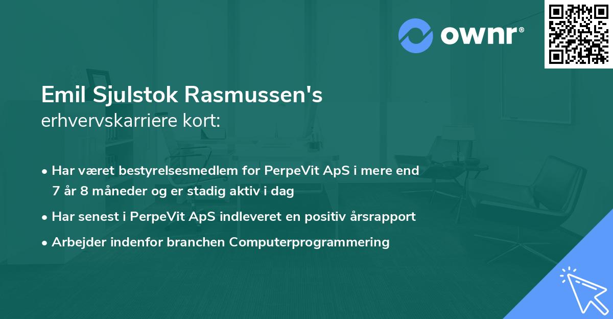 Emil Sjulstok Rasmussen's erhvervskarriere kort