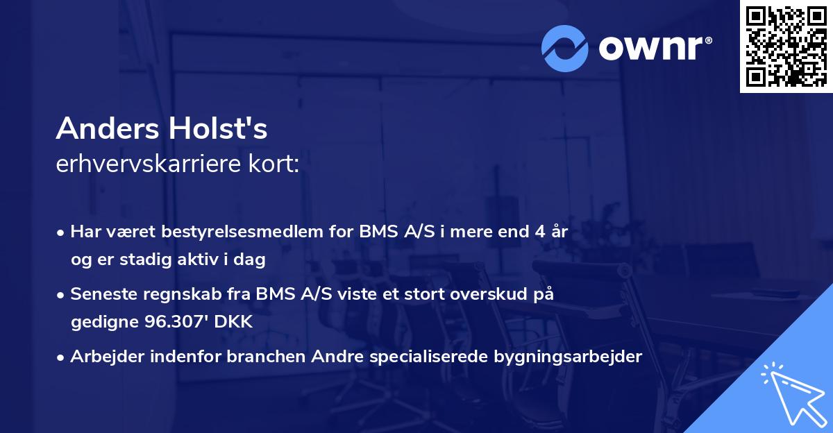 Anders Holst's erhvervskarriere kort