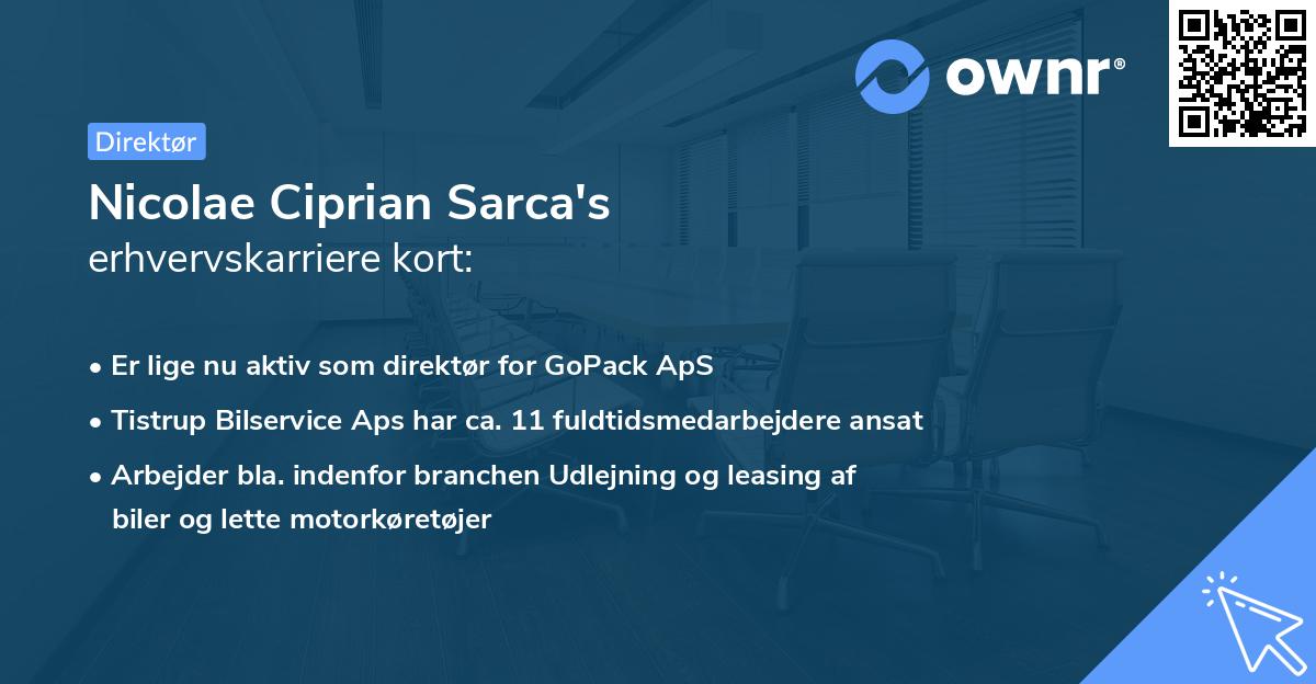 Nicolae Ciprian Sarca's erhvervskarriere kort