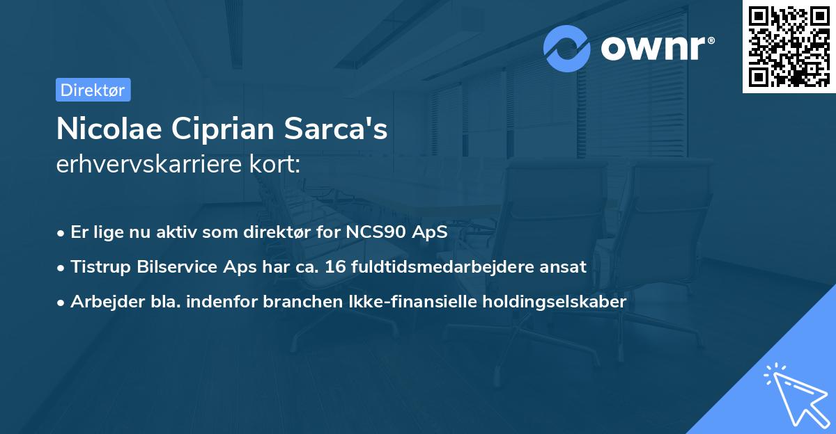 Nicolae Ciprian Sarca's erhvervskarriere kort