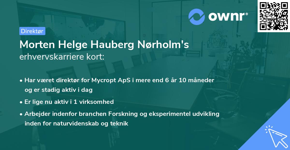 Morten Helge Hauberg Nørholm's erhvervskarriere kort