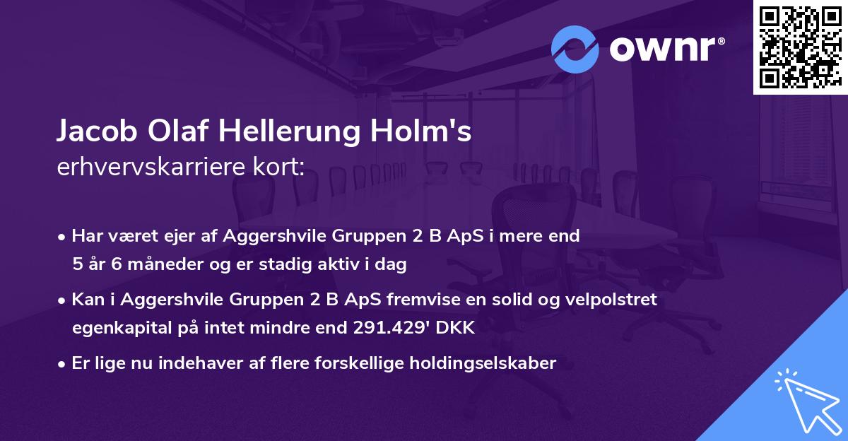 Jacob Olaf Hellerung Holm's erhvervskarriere kort