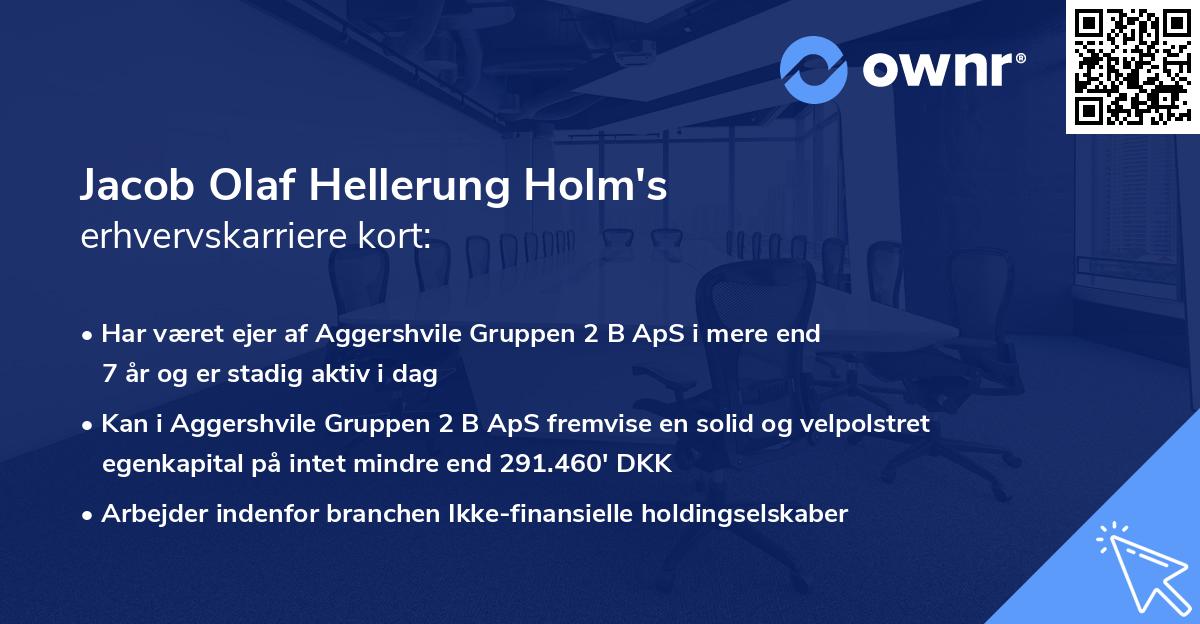 Jacob Olaf Hellerung Holm's erhvervskarriere kort