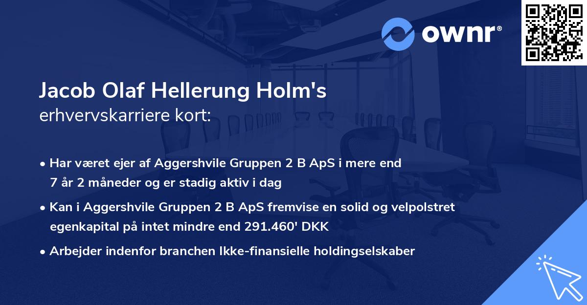 Jacob Olaf Hellerung Holm's erhvervskarriere kort