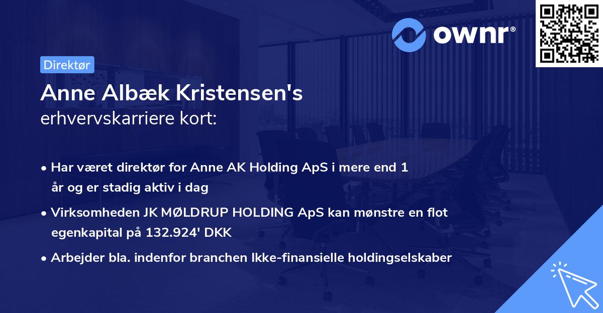Anne Albæk Kristensen's erhvervskarriere kort