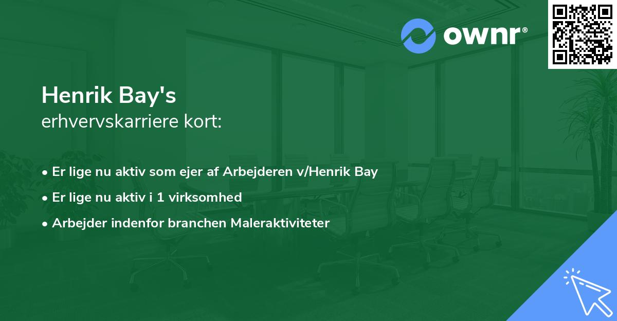Henrik Bay's erhvervskarriere kort