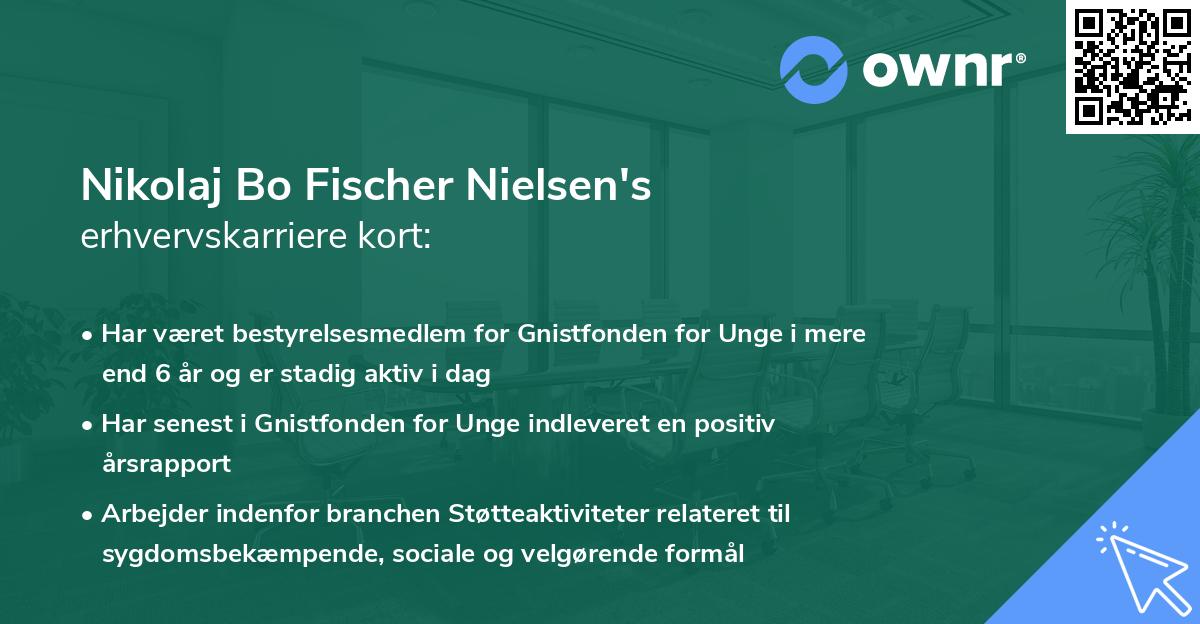 Nikolaj Bo Fischer Nielsen's erhvervskarriere kort