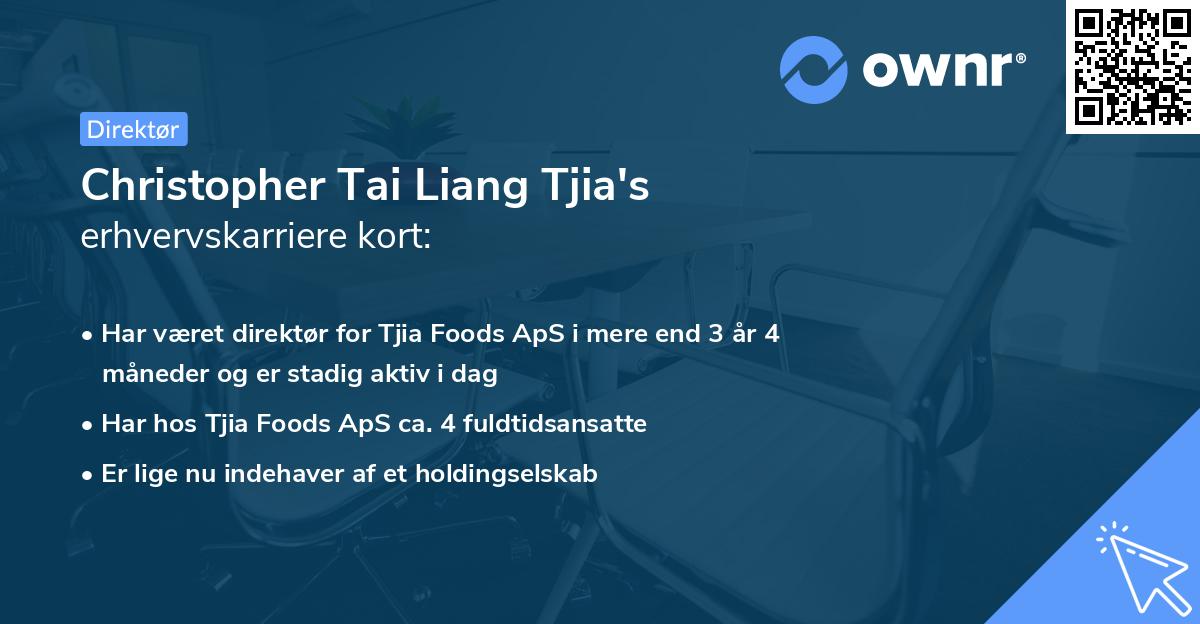 Christopher Tai Liang Tjia's erhvervskarriere kort