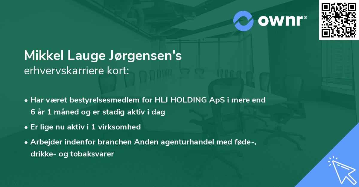 Mikkel Lauge Jørgensen's erhvervskarriere kort