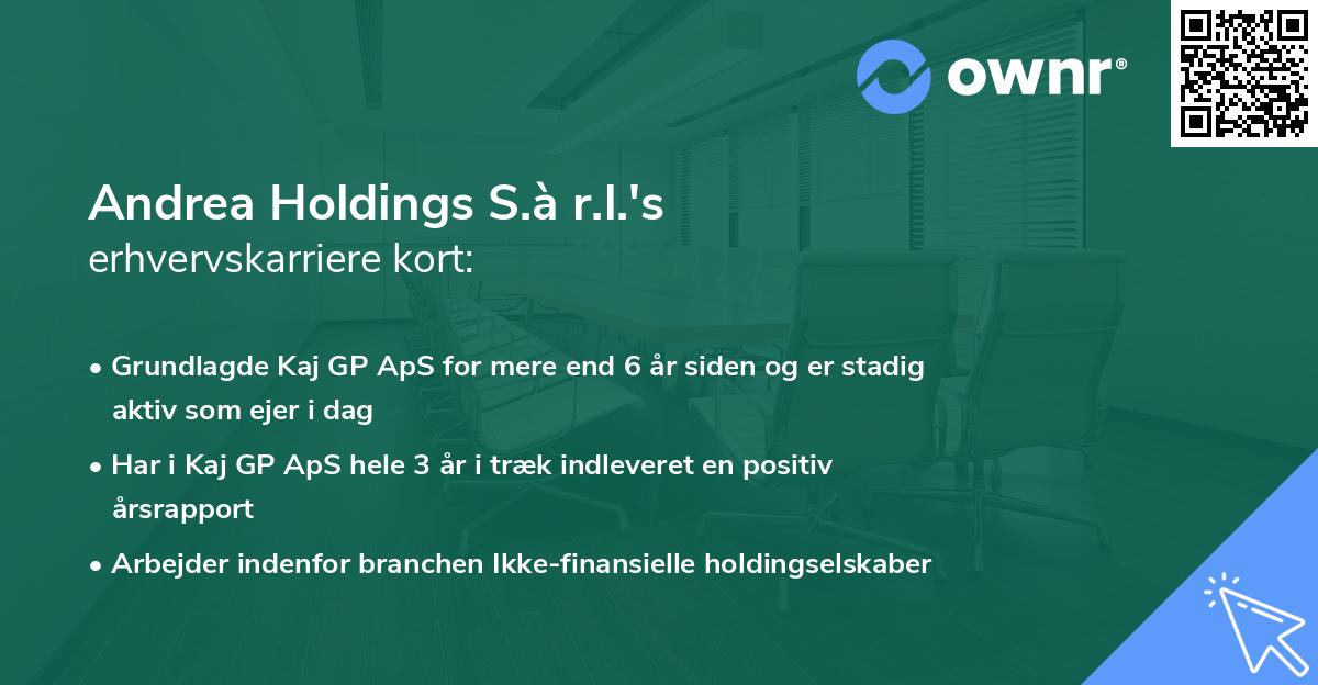 Andrea Holdings S.à r.l.'s erhvervskarriere kort